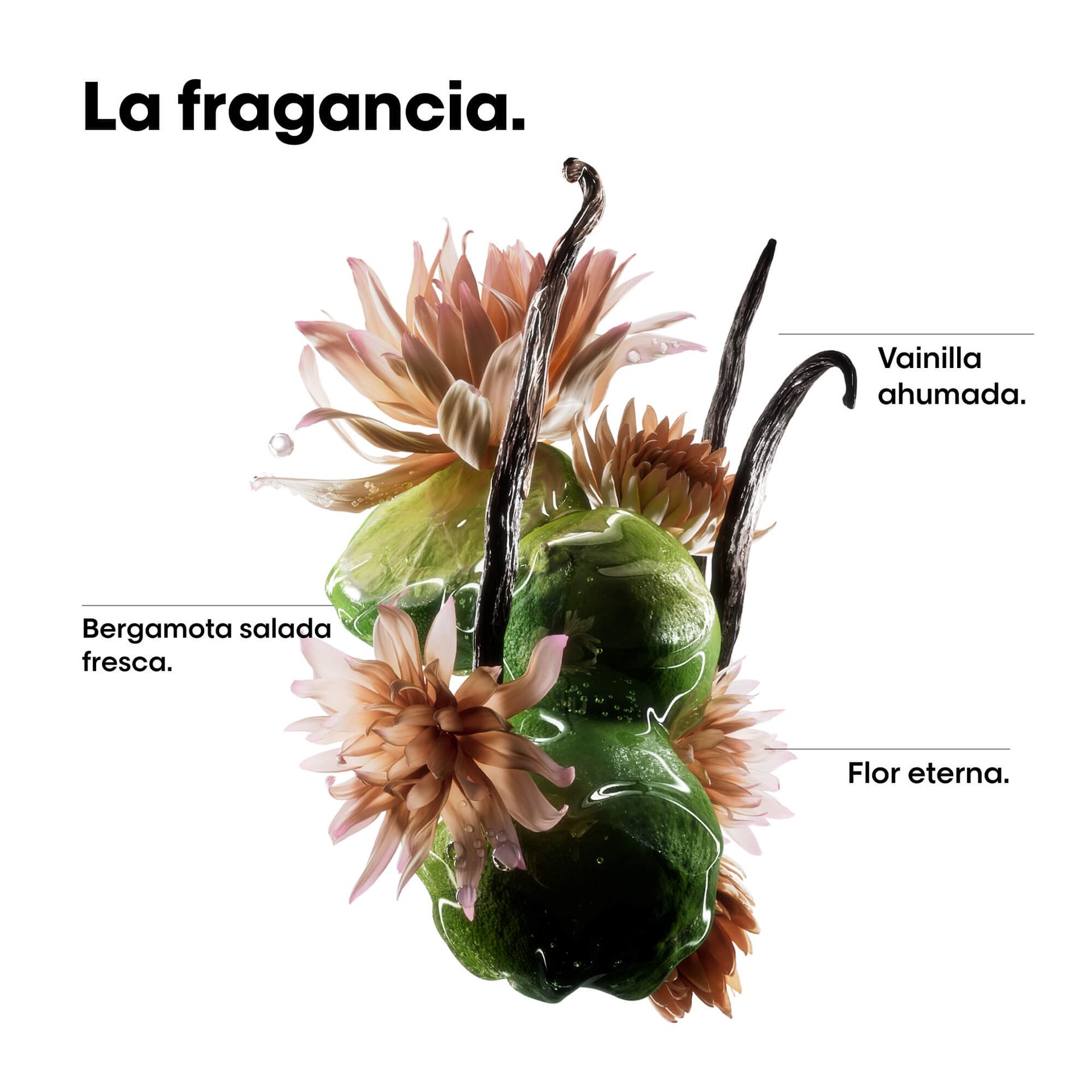Perfume para el cabello en aceite de cabello bifásico Absolut Repair Molecular