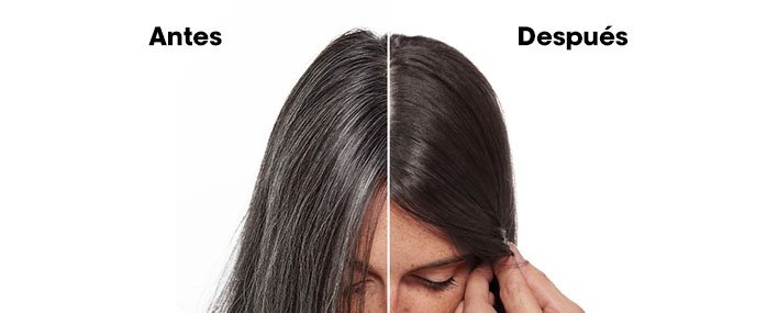 Productos para las canas